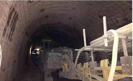 真功夫！物美價廉的“穿山甲”