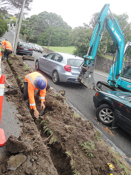 山河挖掘機(jī)暢銷新西蘭