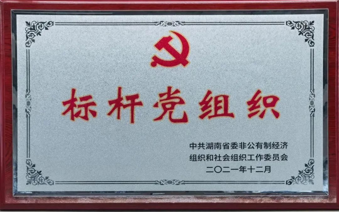 黨建品牌亮起來！山河智能黨委獲評“標(biāo)桿黨組織”